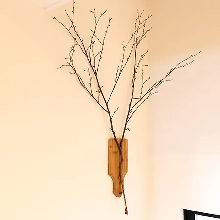 Huusje21 Semesterbostad *