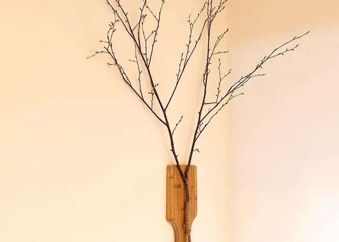 Huusje21 Сasa de vacaciones *